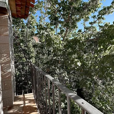 La Casa De La Acacia *