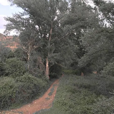 La Casa De La Acacia *